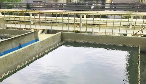 沉澱池